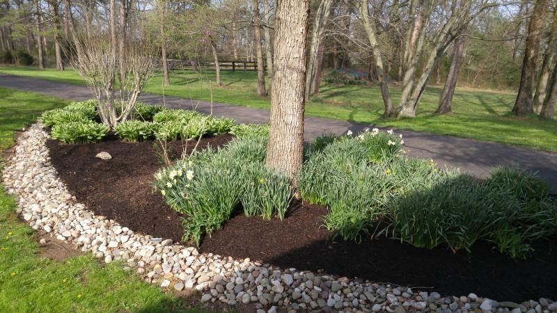 Mulching