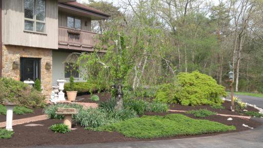 Mulching, Flower bed Maintenance, AndrewVilcheck.com